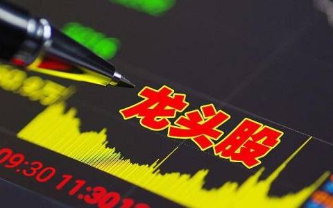 《网购猪肉期货指南》