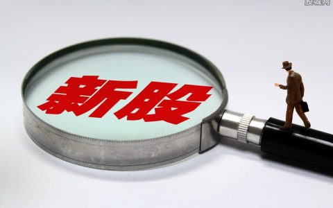 燃油期货手续费一览：一手/吨费用速查